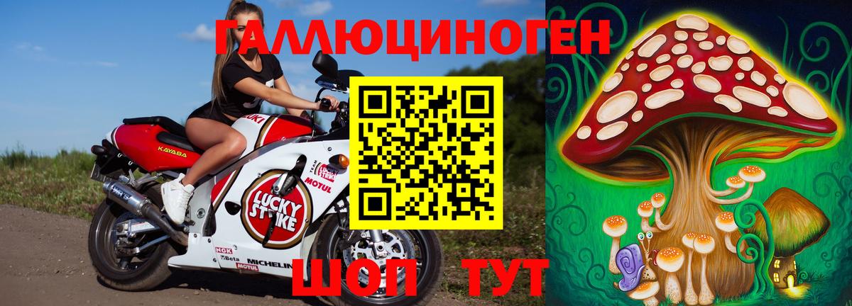 Галлюциногенные грибы мицелий Железногорск