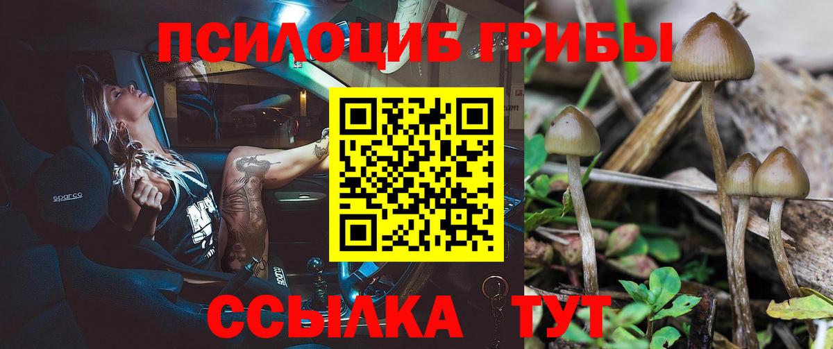 наркотики  Галлюциногенные грибы мицелий  Псилоцибиновые грибы MAGIC MUSHROOMS  Вход с VPN  Железногорск 